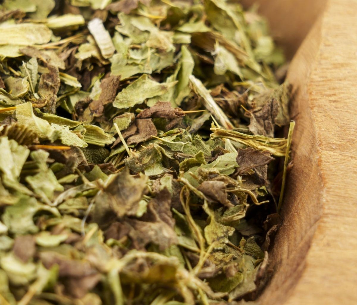 Αποτοξίνωση μετά τις γιορτές: Τα οφέλη του γαϊδουράγκαθου