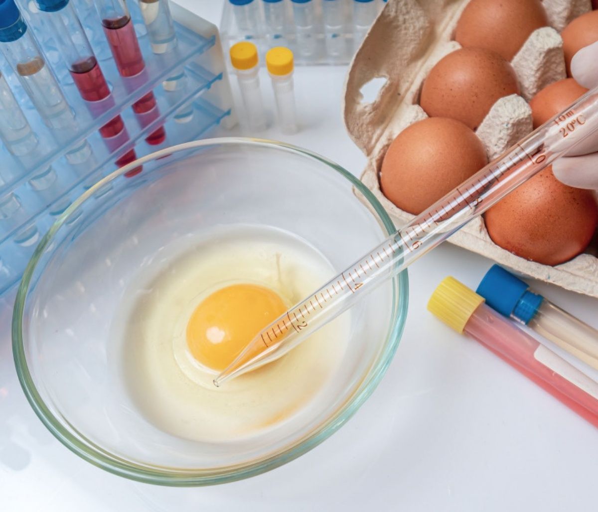 Λοίμωξη από σαλμονέλα: Πώς συνδέεται με τον καρκίνο του παχέος εντέρου