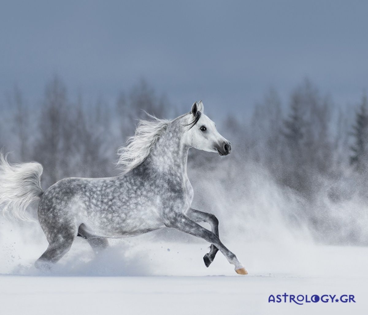 Διάβασε ΔΩΡΕΑΝ την προσωπική σου πρόβλεψη, για σήμερα 07/02/2023