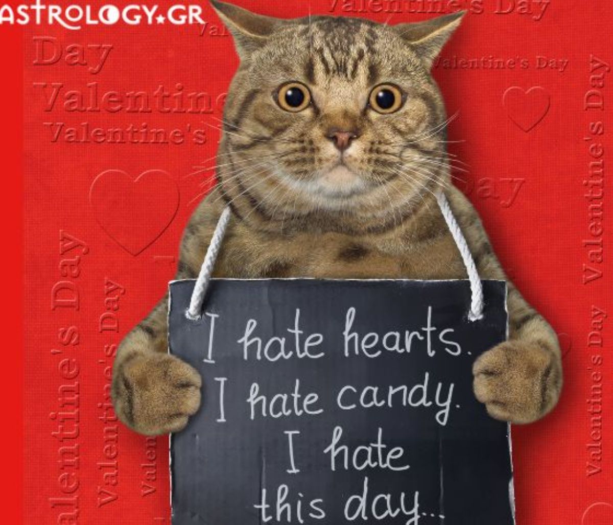 Τα ζώδια που σιχαίνονται περισσότερο την ημέρα του Αγίου Βαλεντίνου