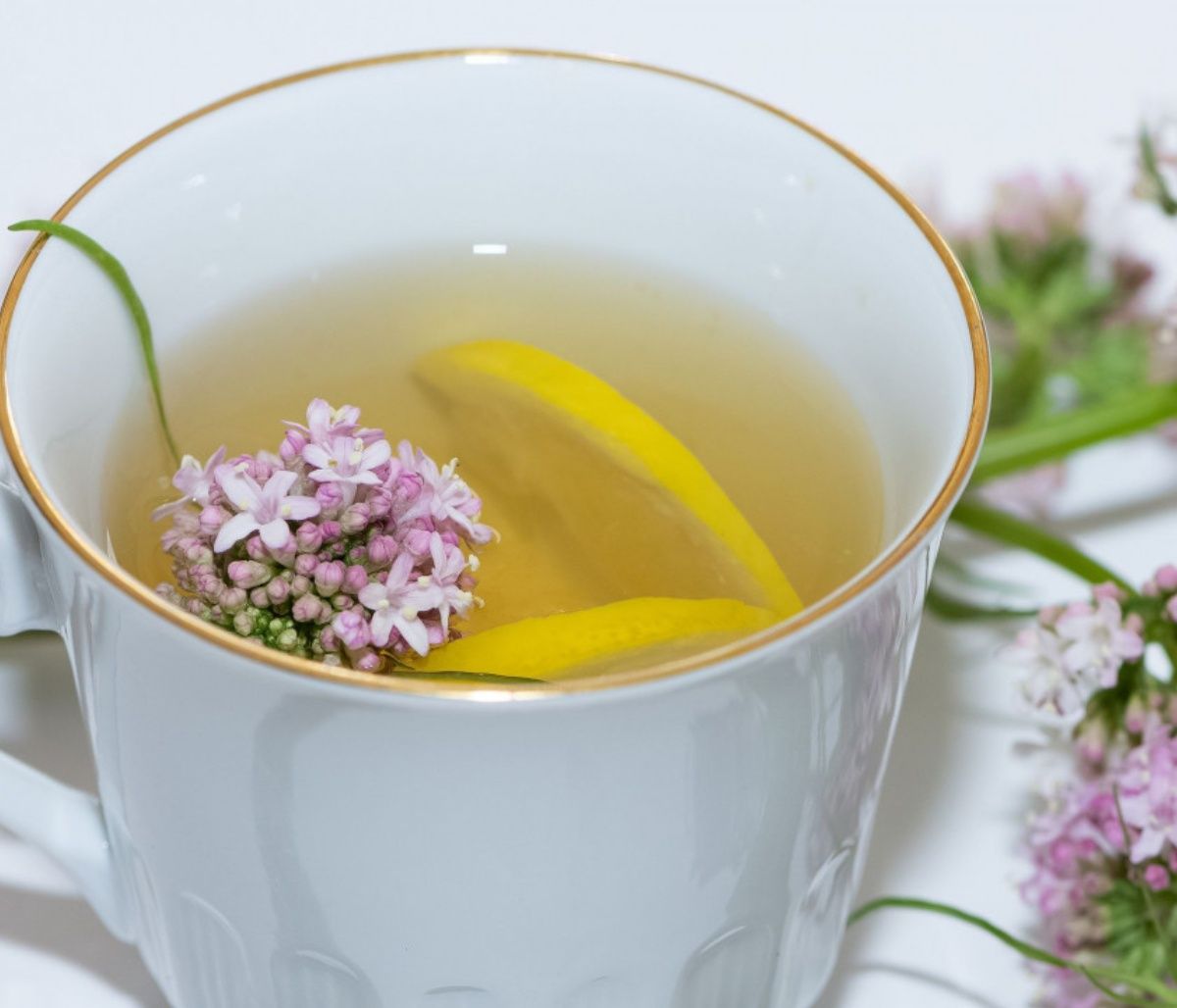 Τα βότανα που βοηθούν να κοιμόμαστε καλύτερα