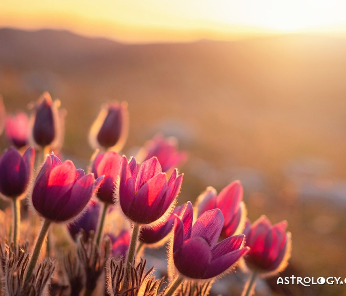 Διάβασε ΔΩΡΕΑΝ την προσωπική σου πρόβλεψη, για σήμερα 18/03/2023