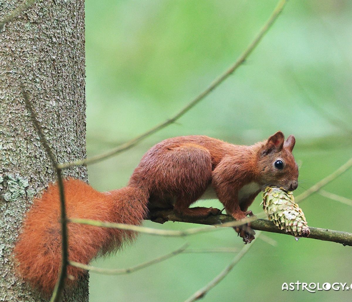 Διάβασε ΔΩΡΕΑΝ την προσωπική σου πρόβλεψη, για σήμερα 21/03/2023