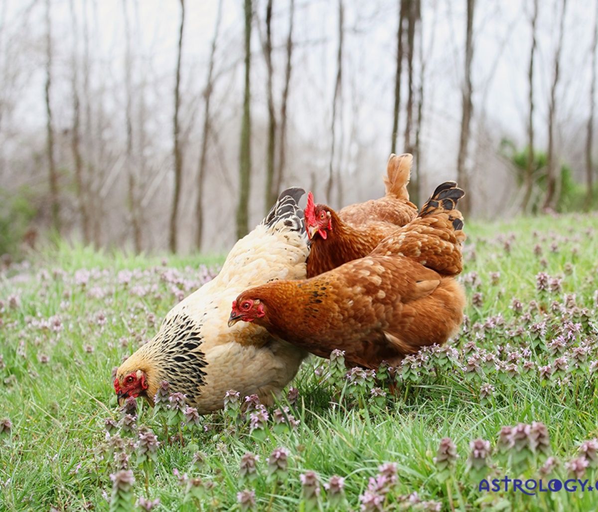 Διάβασε ΔΩΡΕΑΝ την προσωπική σου πρόβλεψη, για σήμερα 23/03/2023