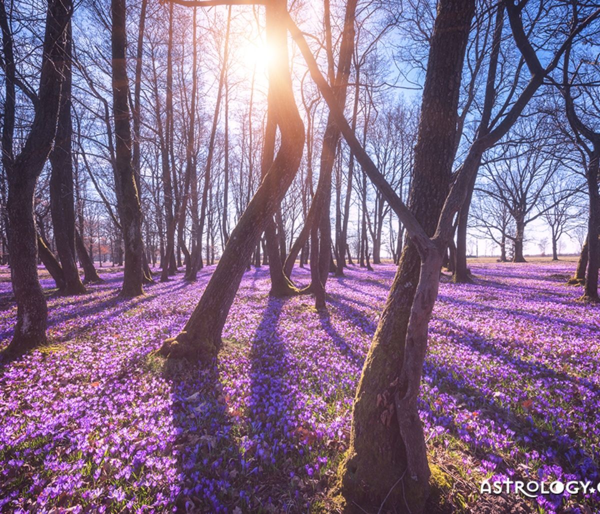 Διάβασε ΔΩΡΕΑΝ την προσωπική σου πρόβλεψη, για σήμερα 30/03/2023