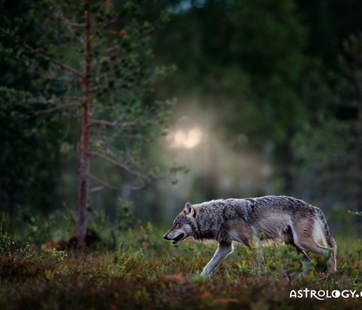 Διάβασε ΔΩΡΕΑΝ την προσωπική σου πρόβλεψη, για σήμερα 29/03/2023