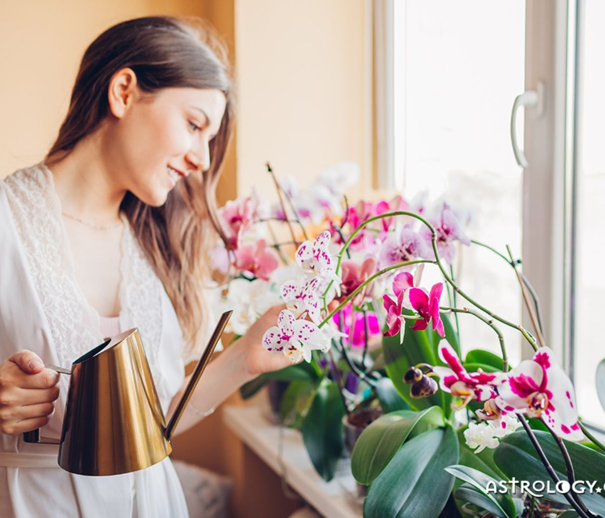 Ημερήσιες Προβλέψεις 30/03: Στη βράση κολλάει το σίδερο