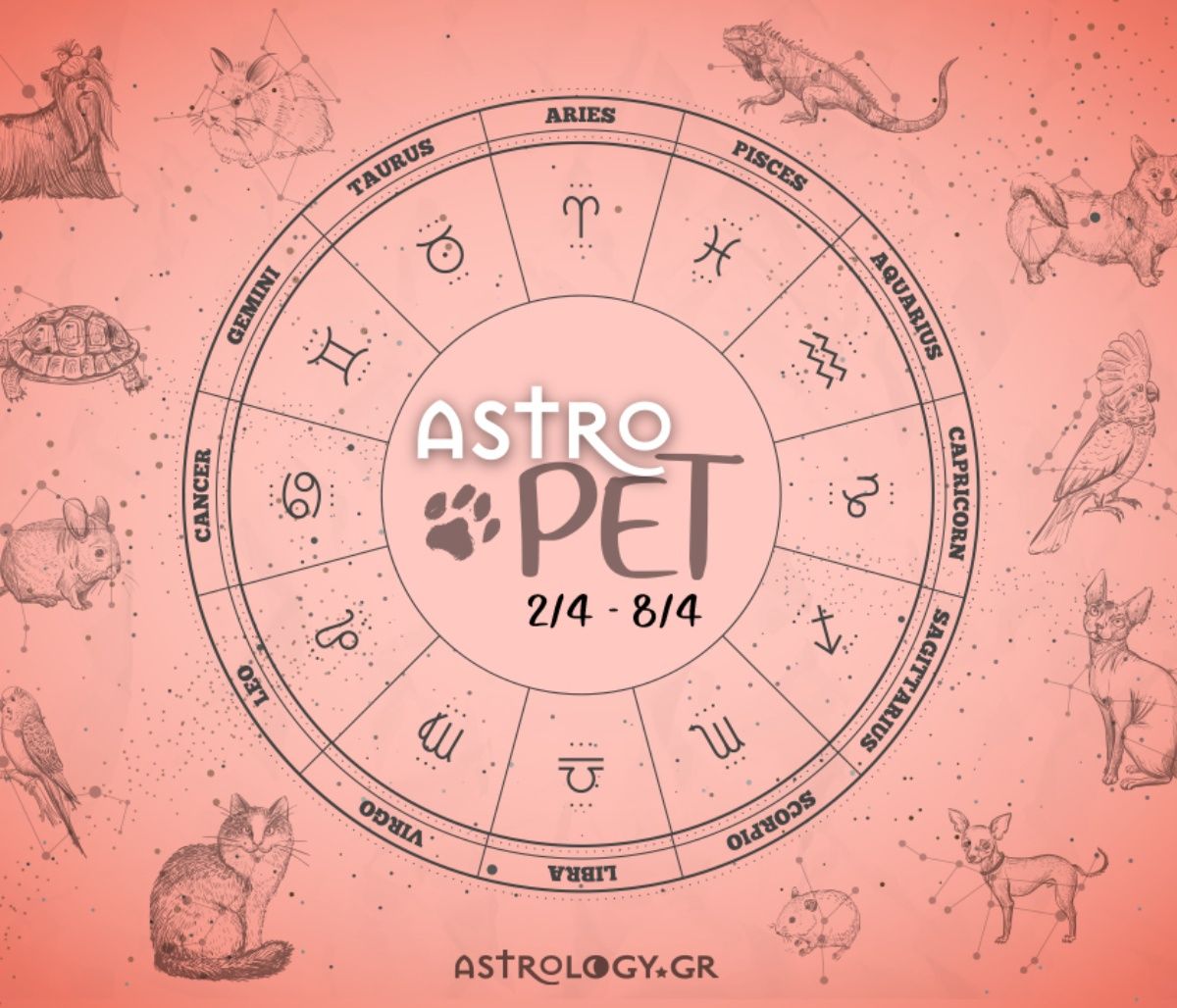 AstroPet 02/04-08/04: Εβδομαδιαίες προβλέψεις για το κατοικίδιό σου