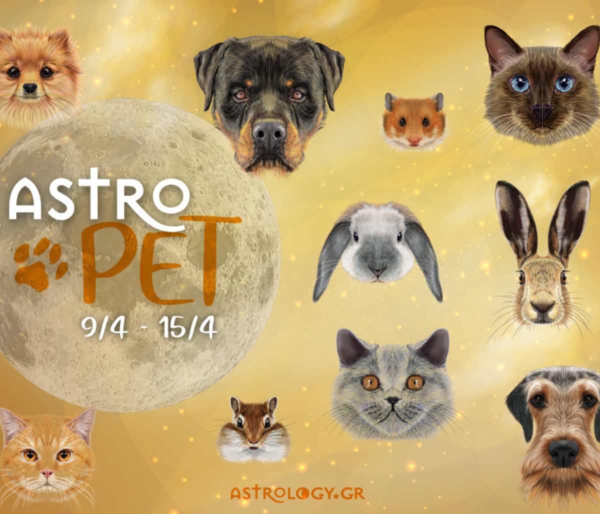 AstroPet 09/04-15/04: Εβδομαδιαίες προβλέψεις για το κατοικίδιό σου