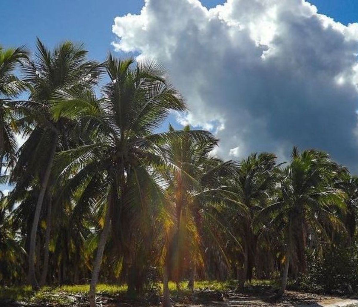 Survivor All Star Spoiler: Αυτός είναι ο 1ος παίκτης προς αποχώρηση