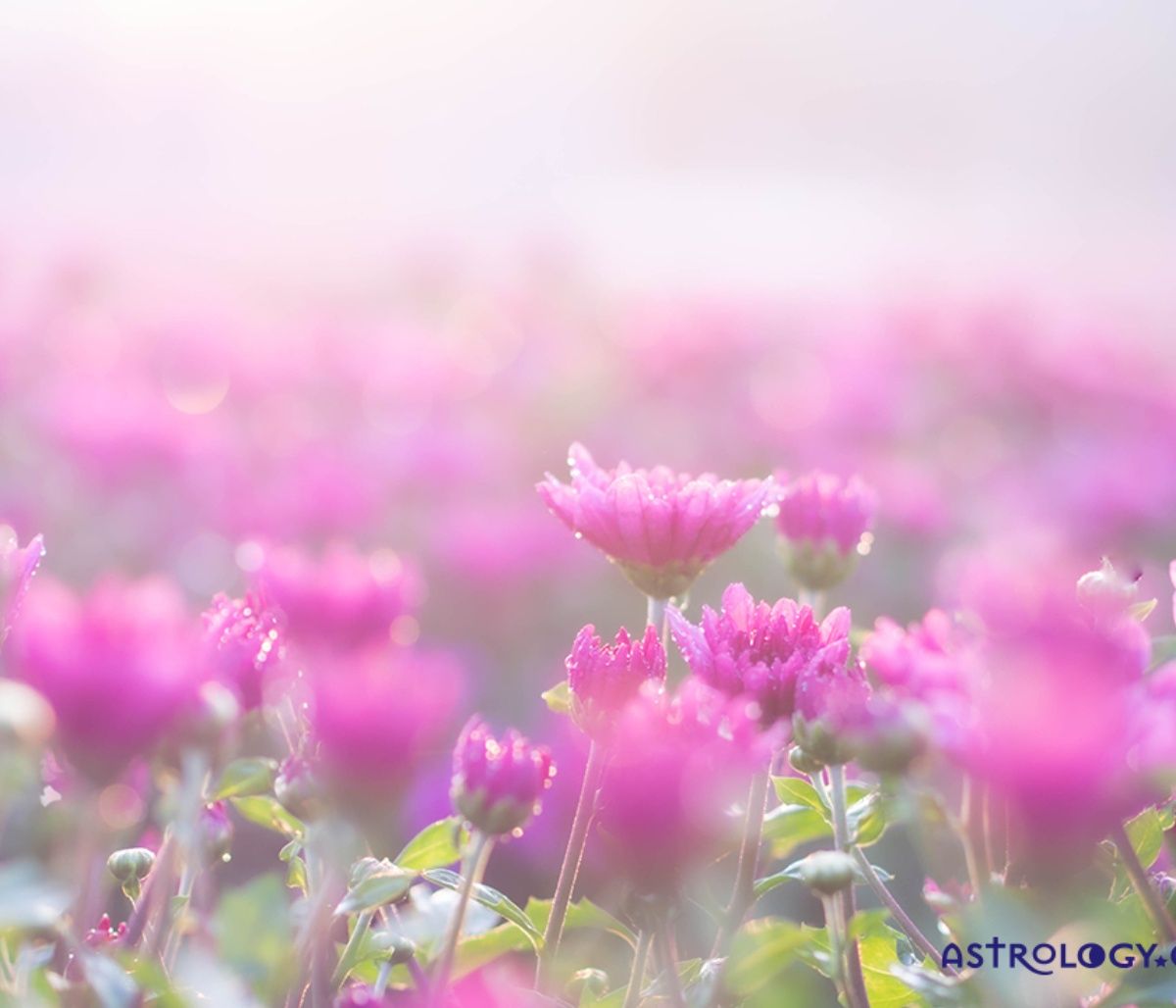 Διάβασε ΔΩΡΕΑΝ την προσωπική σου πρόβλεψη, για σήμερα 30/05/2023