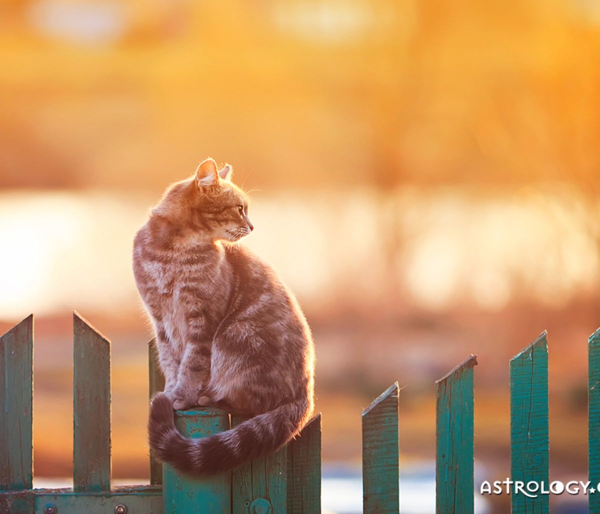 Διάβασε ΔΩΡΕΑΝ την προσωπική σου πρόβλεψη, για σήμερα 02/06/2023