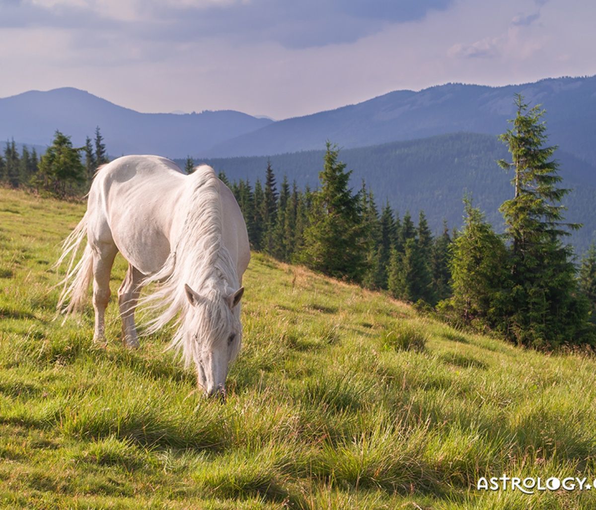 Διάβασε ΔΩΡΕΑΝ την προσωπική σου πρόβλεψη, για σήμερα 08/06/2023