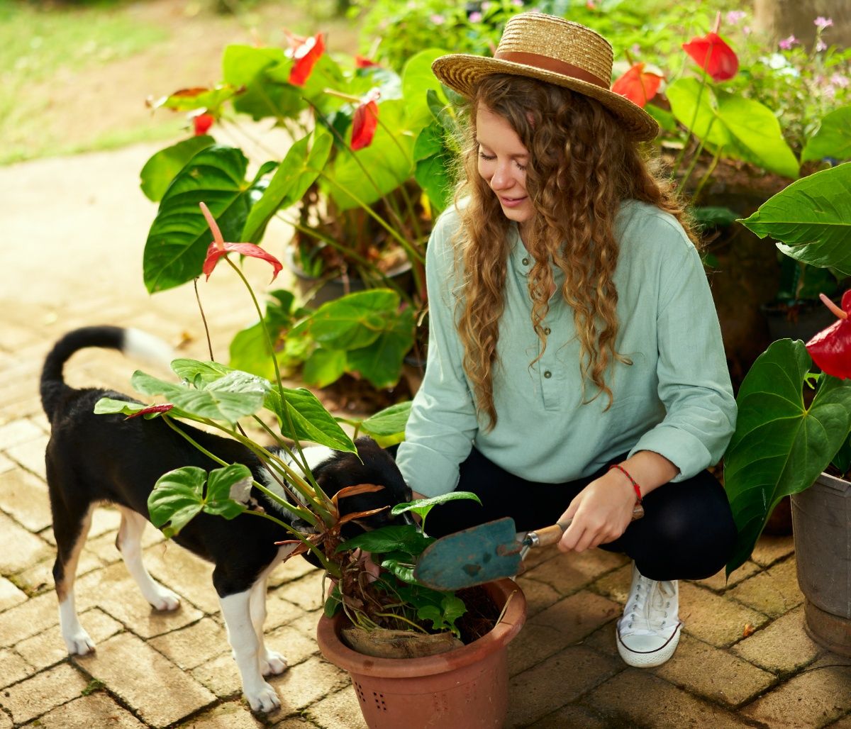 Σήμερα 24/06: Σε χαλαρό, διασκεδαστικό κλίμα