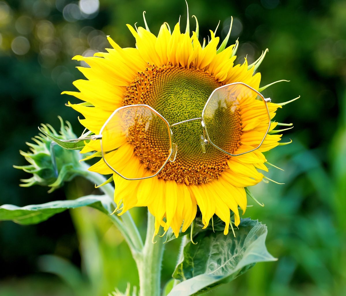 Ζώδια Σήμερα 01/07: Με το δεξί