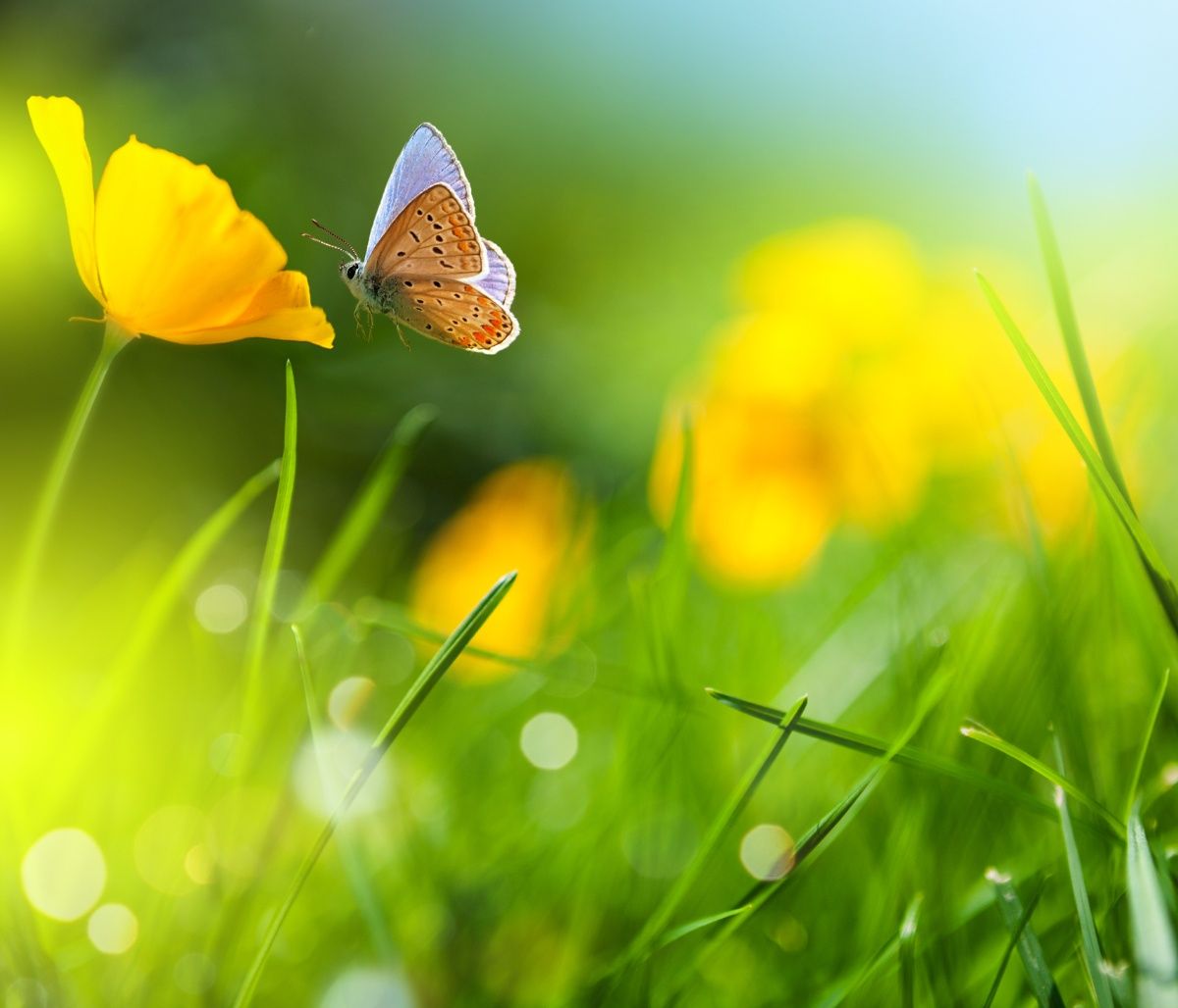 Πες μας πότε γεννήθηκες να σου πούμε τι θα σου φέρει ο Αύγουστος