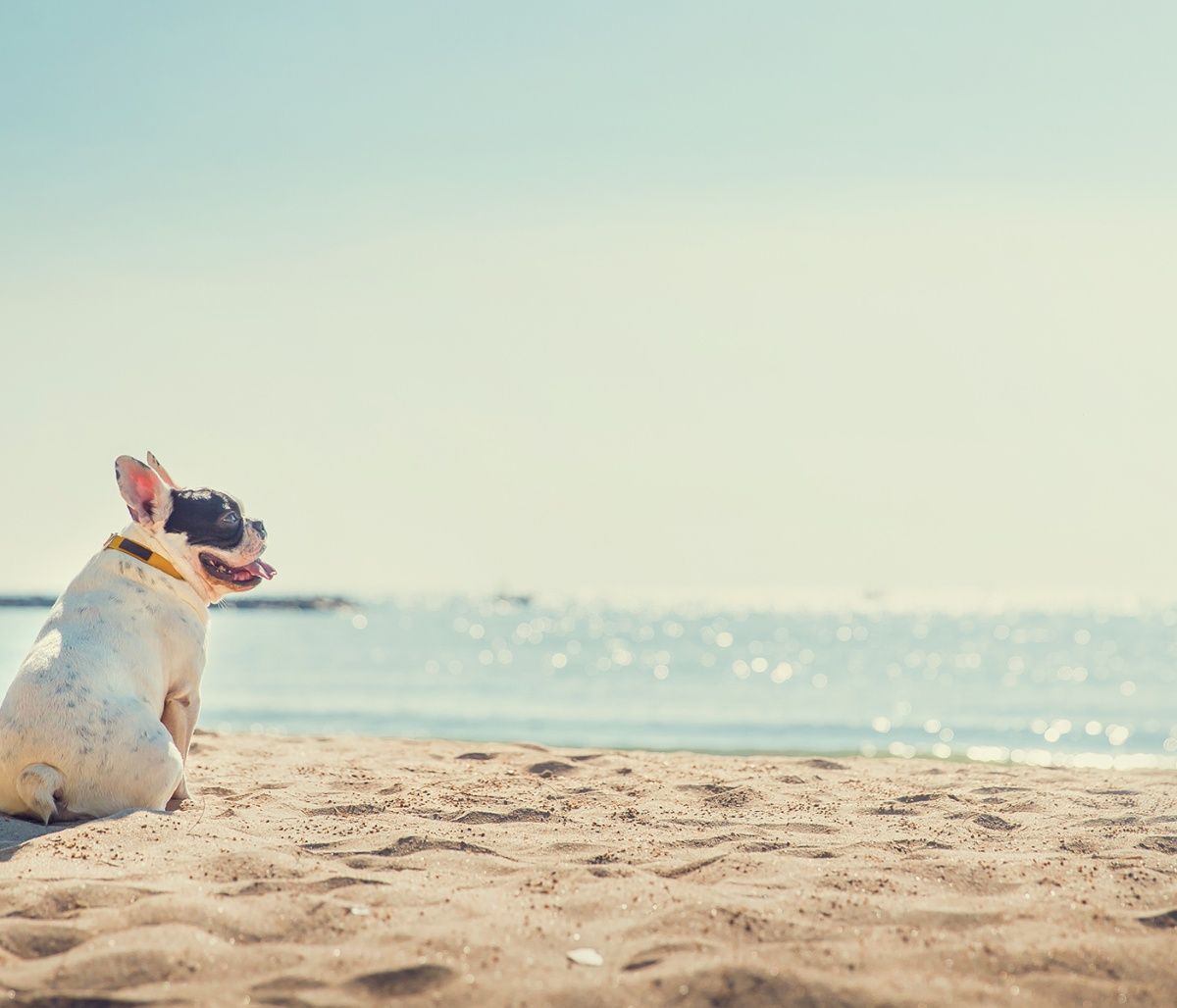 Διάβασε ΔΩΡΕΑΝ την προσωπική σου πρόβλεψη, για σήμερα 02/08/2023