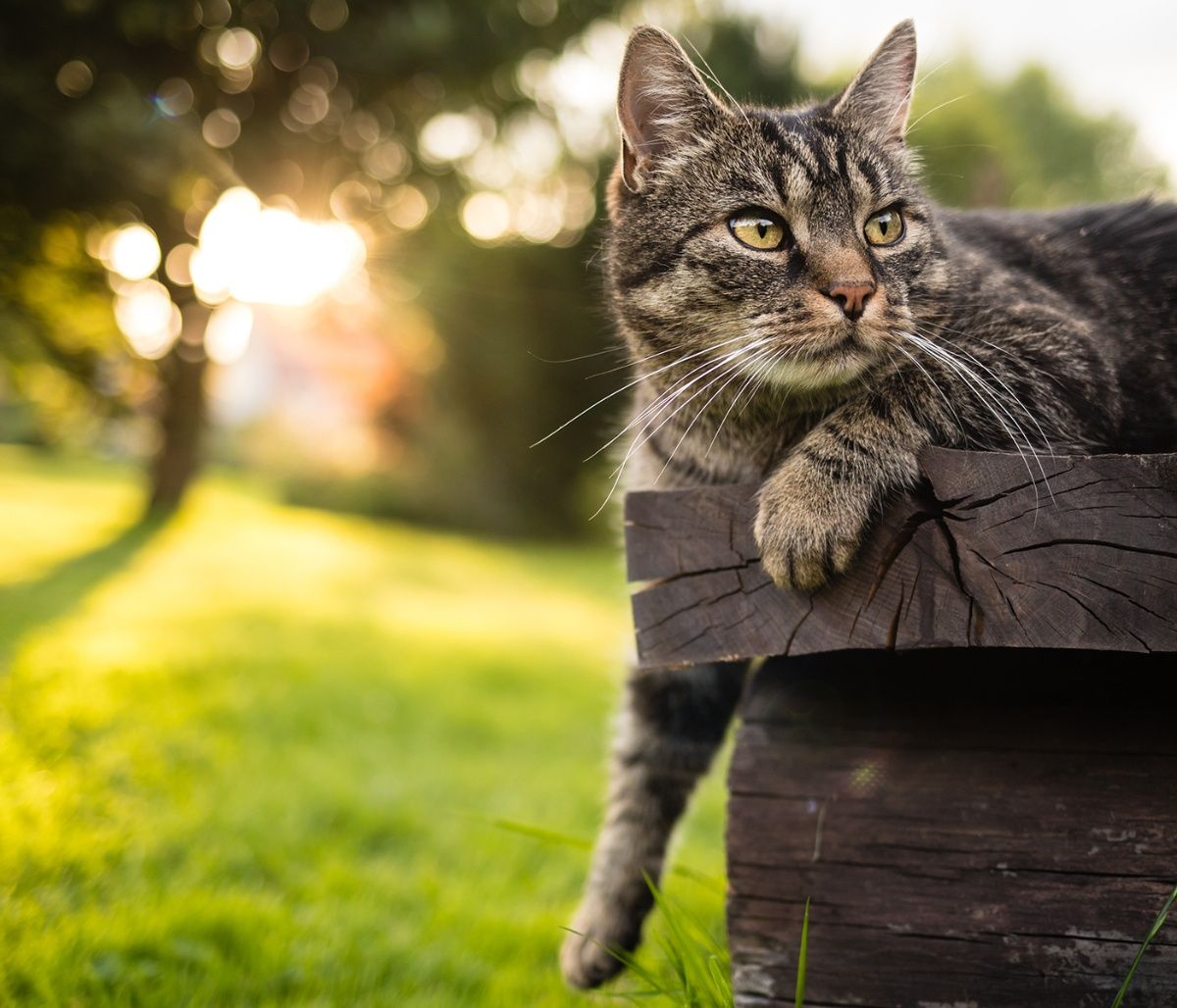 Διάβασε ΔΩΡΕΑΝ την προσωπική σου πρόβλεψη, για σήμερα 12/08/2023