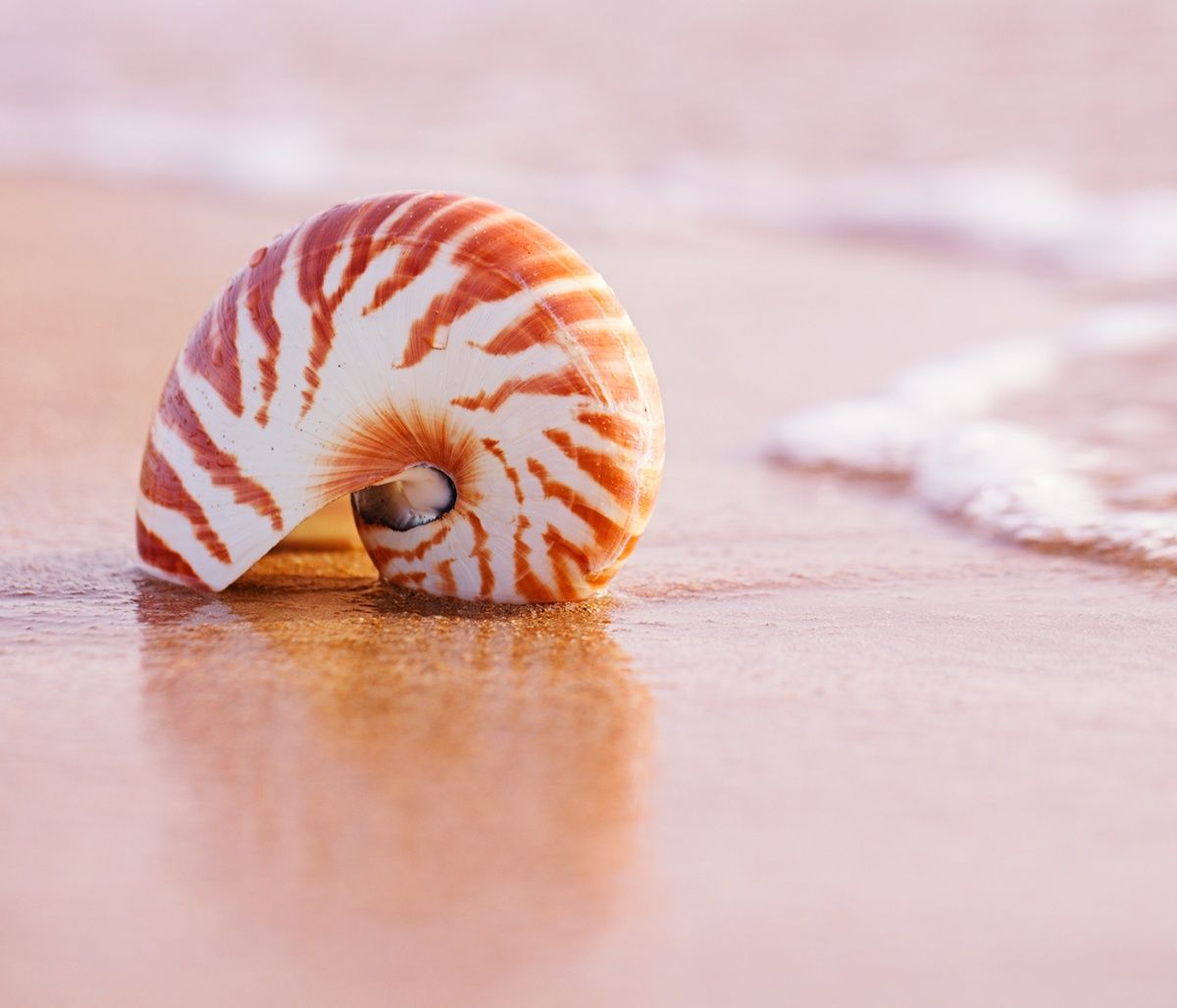 Διάβασε ΔΩΡΕΑΝ την προσωπική σου πρόβλεψη, για σήμερα 05/08/2023