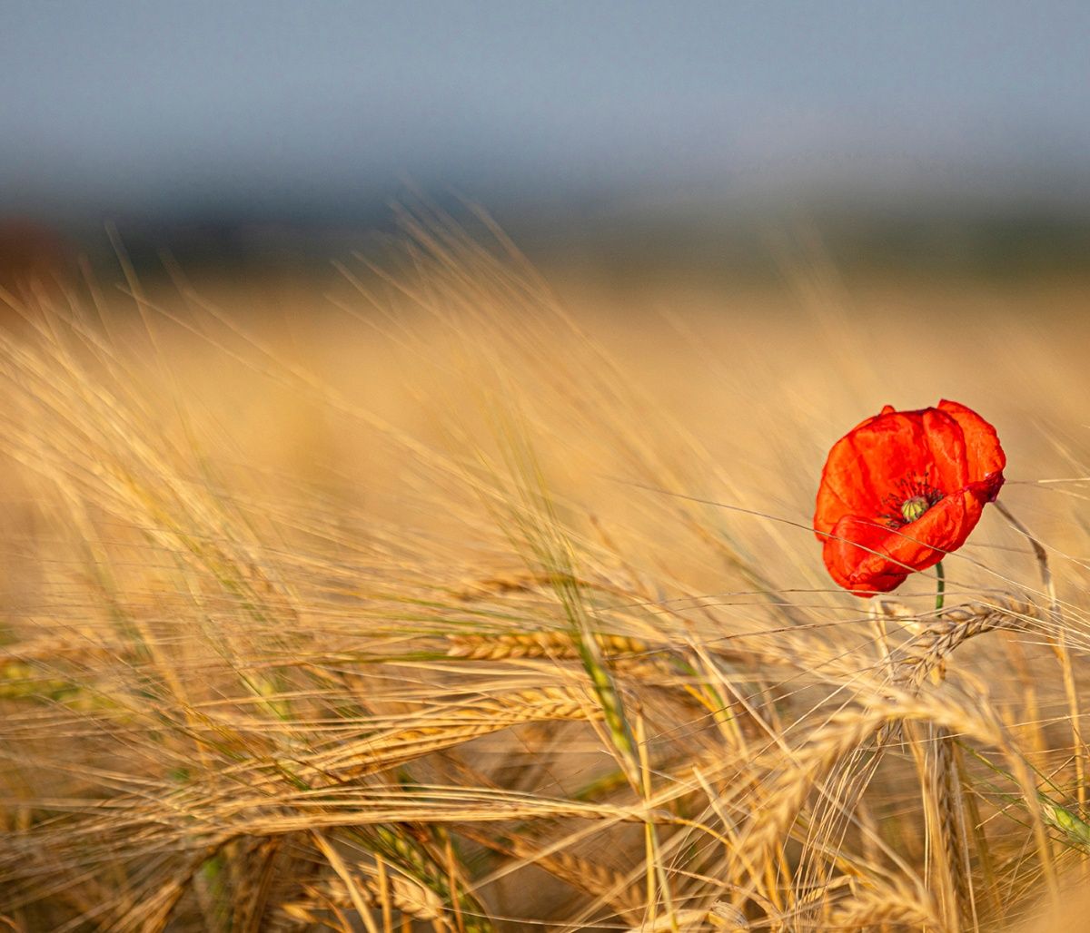 Διάβασε ΔΩΡΕΑΝ την προσωπική σου πρόβλεψη, για σήμερα 13/08/2023