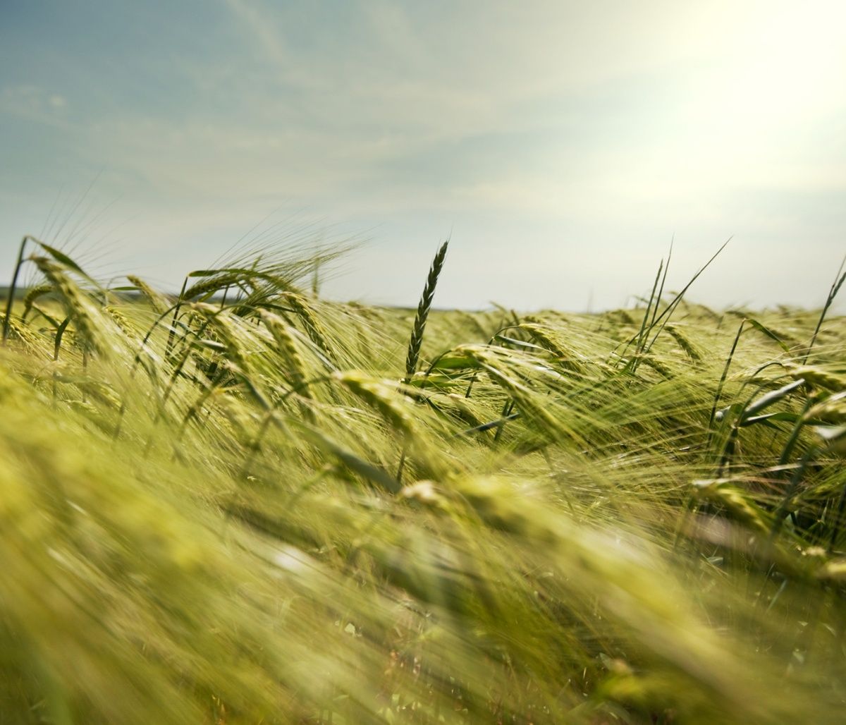Διάβασε ΔΩΡΕΑΝ την προσωπική σου πρόβλεψη, για σήμερα 23/08/2023