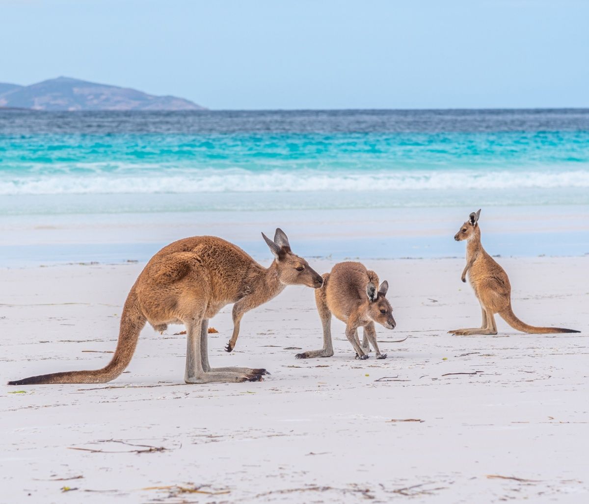 Διάβασε ΔΩΡΕΑΝ την προσωπική σου πρόβλεψη, για σήμερα 18/08/2023