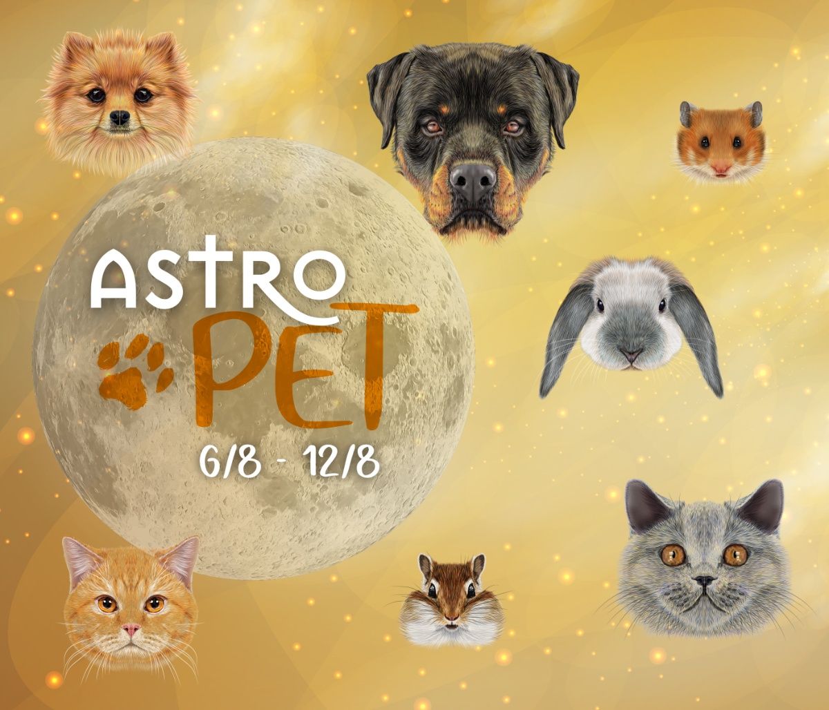 Εβδομαδιαίες προβλέψεις, 06/08 έως 12/08, για το κατοικίδιό σου