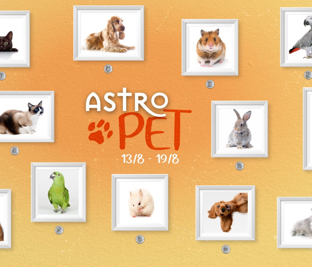 AstroPet 13/08 - 19/08: Εβδομαδιαίες προβλέψεις για το κατοικίδιό σου