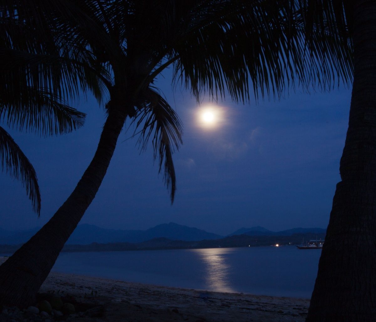 Το Φεγγάρι σου δείχνει το δρόμο, από 16/08 έως 31/08