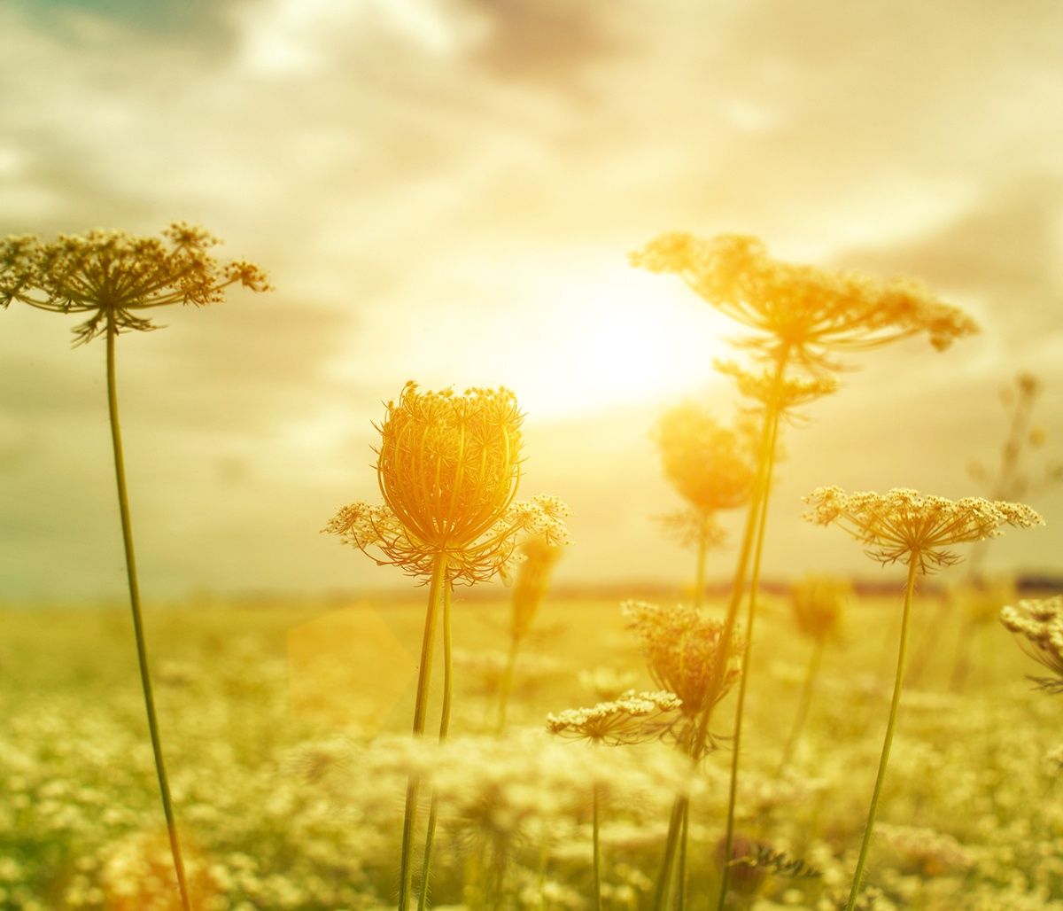 Διάβασε ΔΩΡΕΑΝ την προσωπική σου πρόβλεψη, για σήμερα 27/08/2023