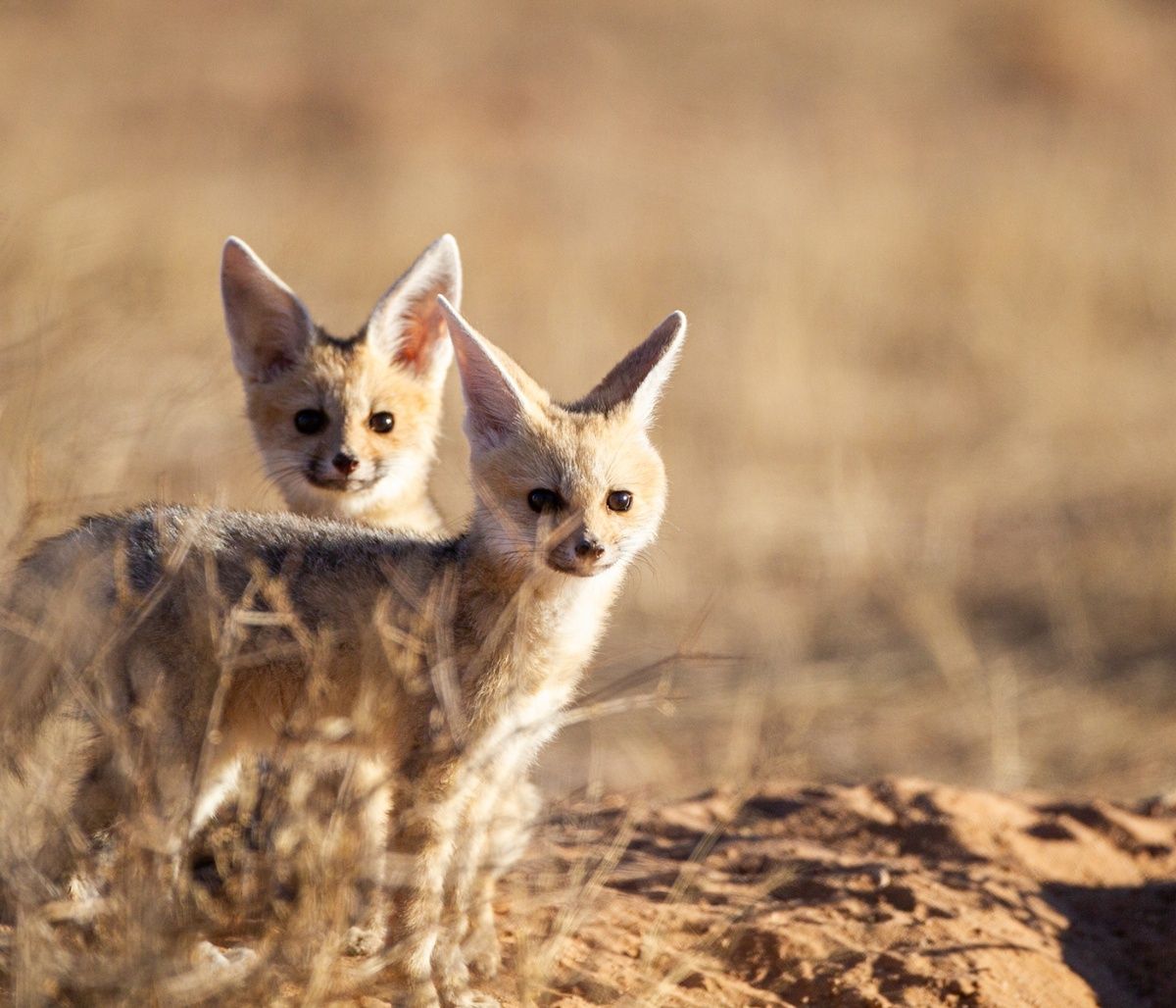 Διάβασε ΔΩΡΕΑΝ την προσωπική σου πρόβλεψη, για σήμερα 31/08/2023