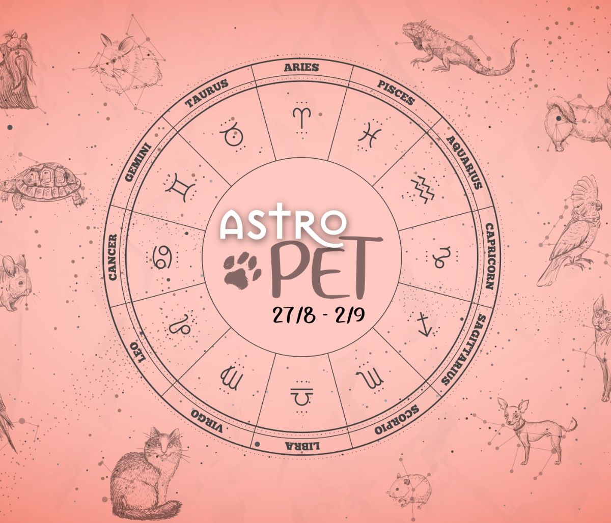 AstroPet 27/08-02/09: Εβδομαδιαίες προβλέψεις για το κατοικίδιό σου