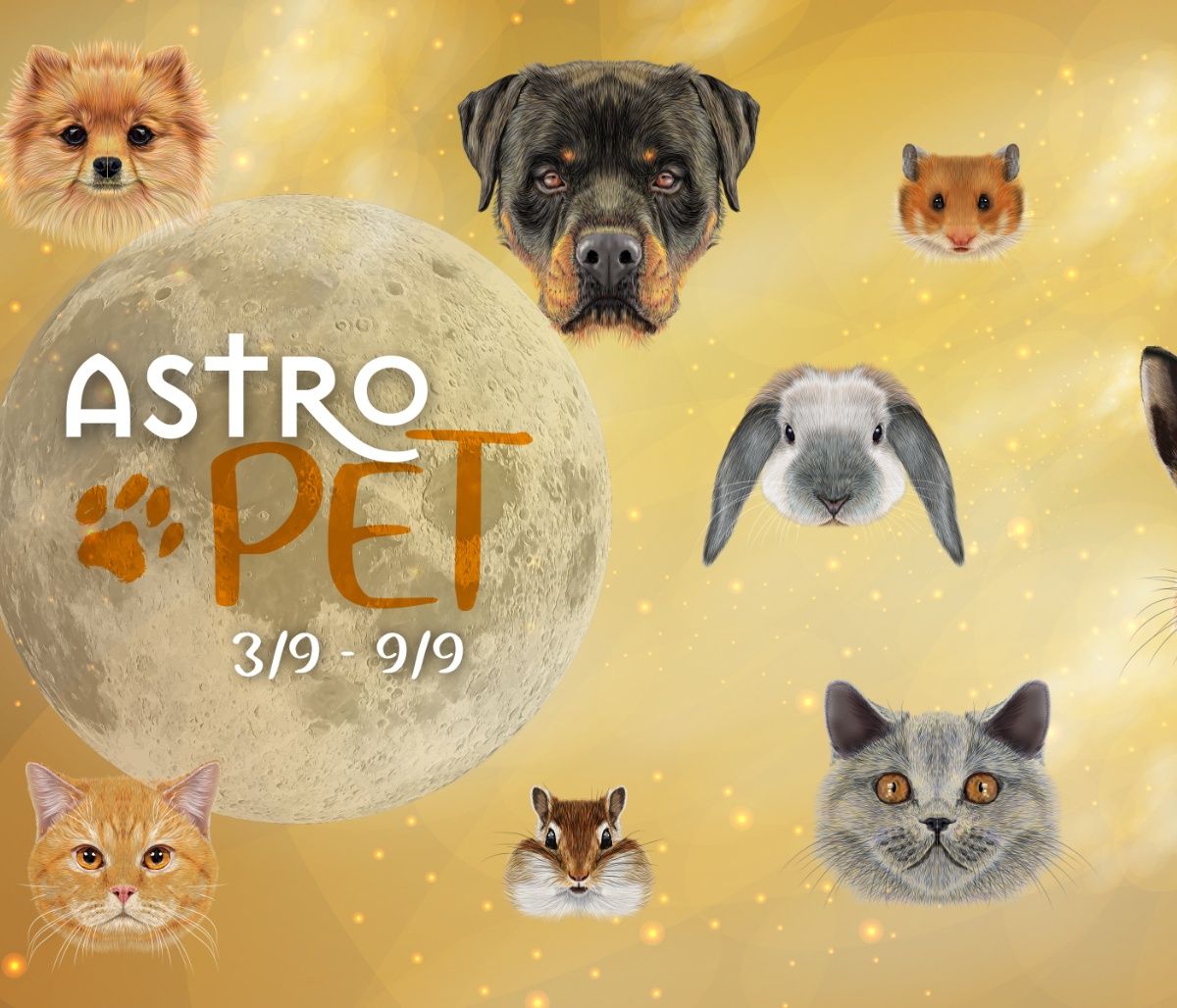 AstroPet 03/09-09/09: Εβδομαδιαίες προβλέψεις για το κατοικίδιό σου
