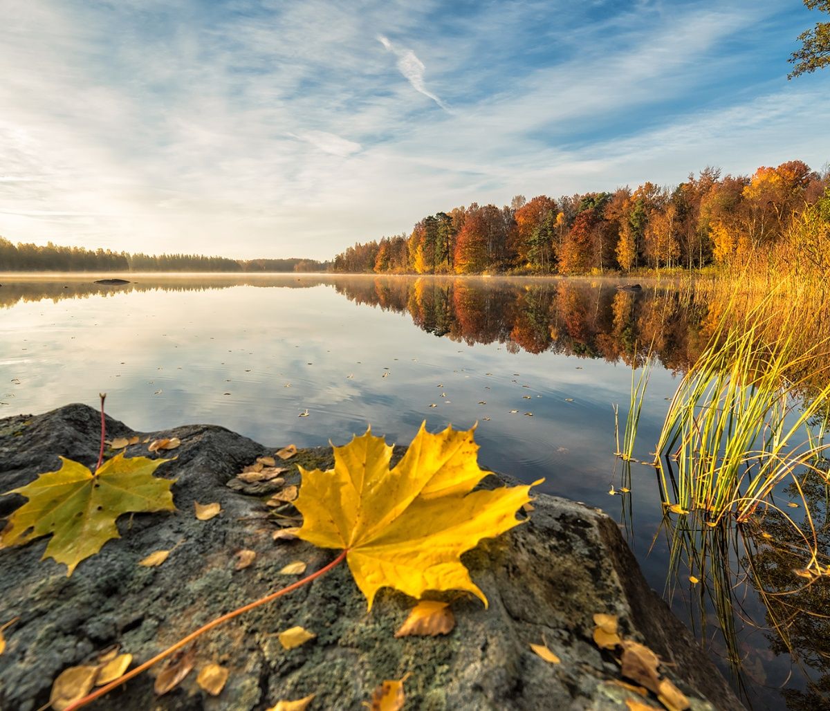 Διάβασε ΔΩΡΕΑΝ την προσωπική σου πρόβλεψη, για σήμερα 03/09/2023