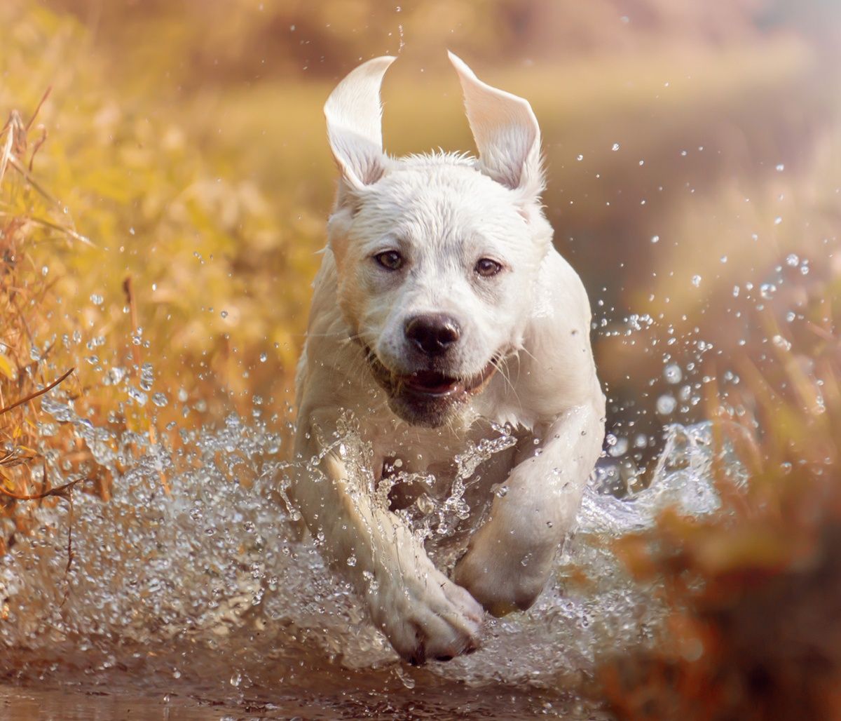 Διάβασε ΔΩΡΕΑΝ την προσωπική σου πρόβλεψη, για σήμερα 04/09/2023