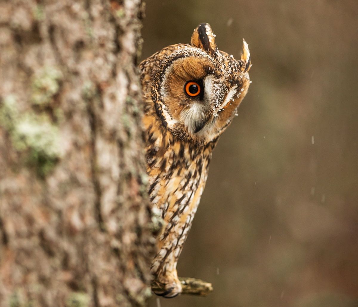 Διάβασε ΔΩΡΕΑΝ την προσωπική σου πρόβλεψη, για σήμερα 08/09/2023