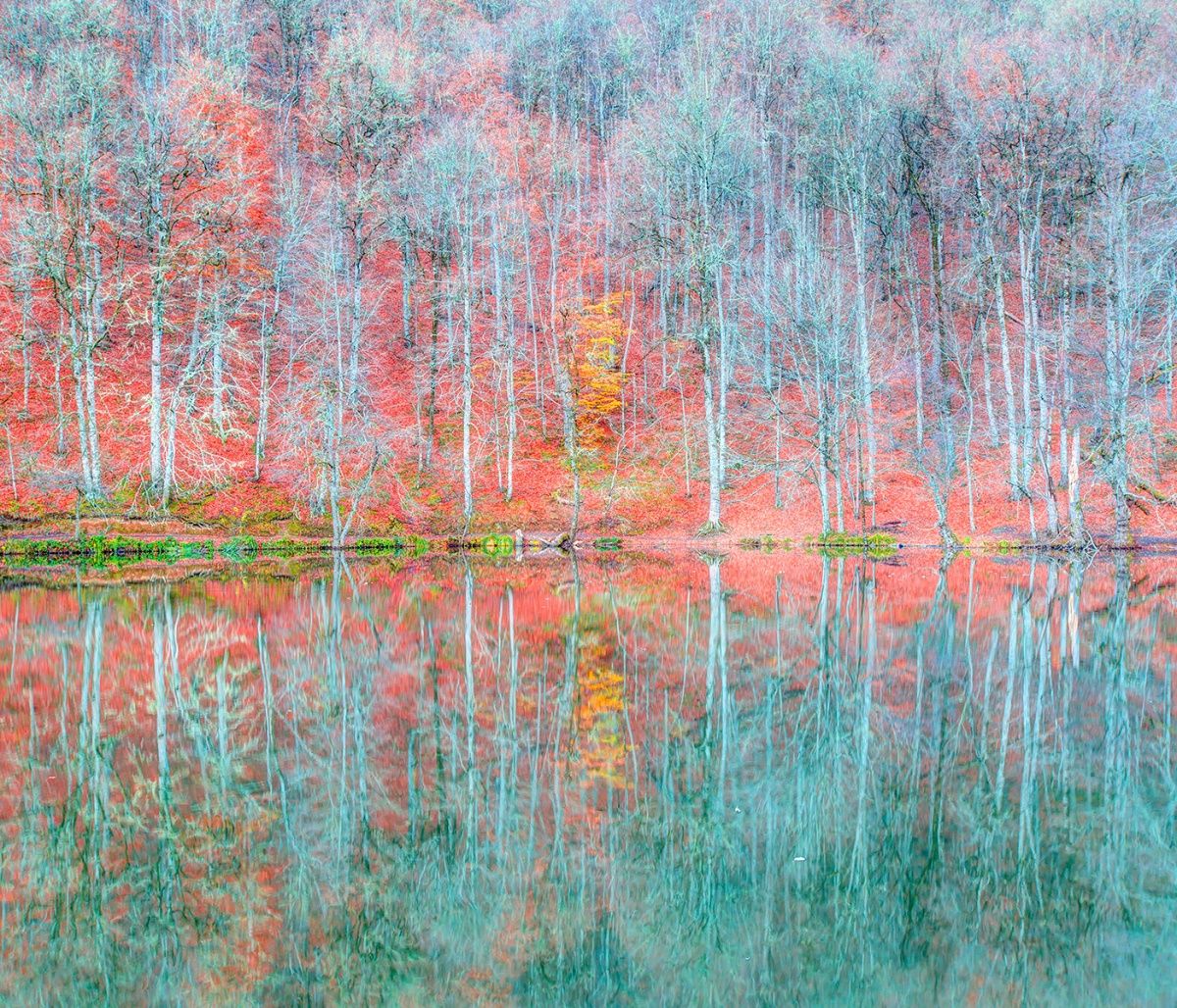 Διάβασε ΔΩΡΕΑΝ την προσωπική σου πρόβλεψη, για σήμερα 05/09/2023