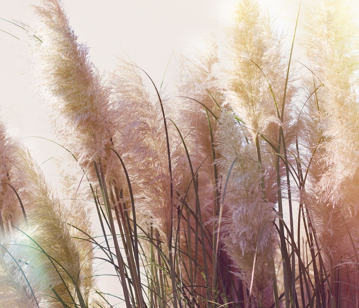 Διάβασε ΔΩΡΕΑΝ την προσωπική σου πρόβλεψη, για σήμερα 07/09/2023