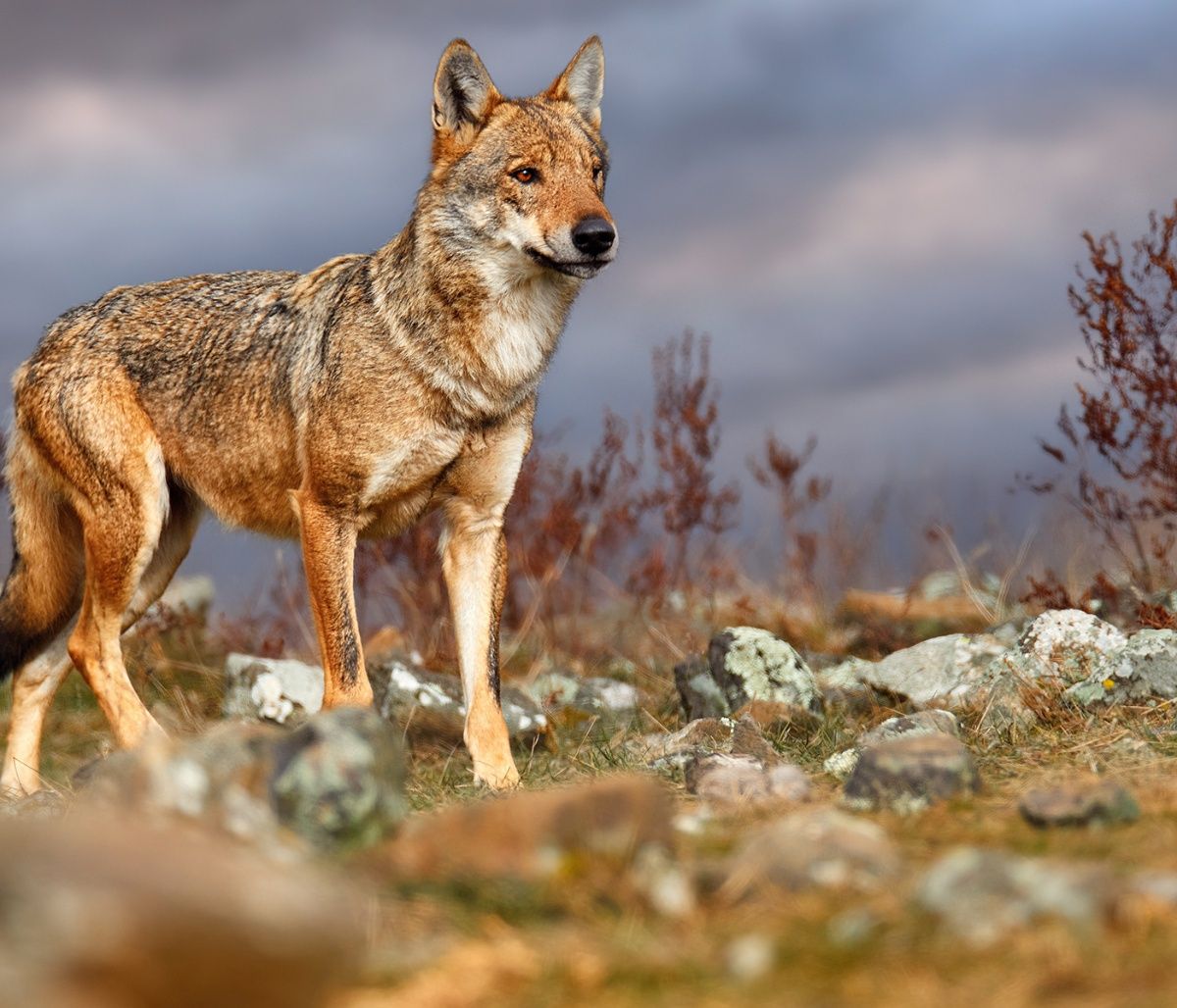 Διάβασε ΔΩΡΕΑΝ την προσωπική σου πρόβλεψη, για σήμερα 10/09/2023