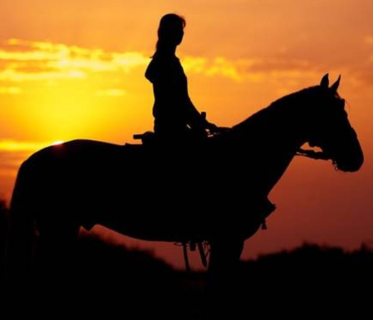 Ονειροκρίτης: Μήπως είδες στον ύπνο σου άλογο;