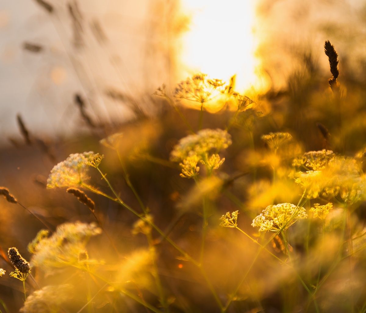 Διάβασε ΔΩΡΕΑΝ την προσωπική σου πρόβλεψη, για σήμερα 13/09/2023