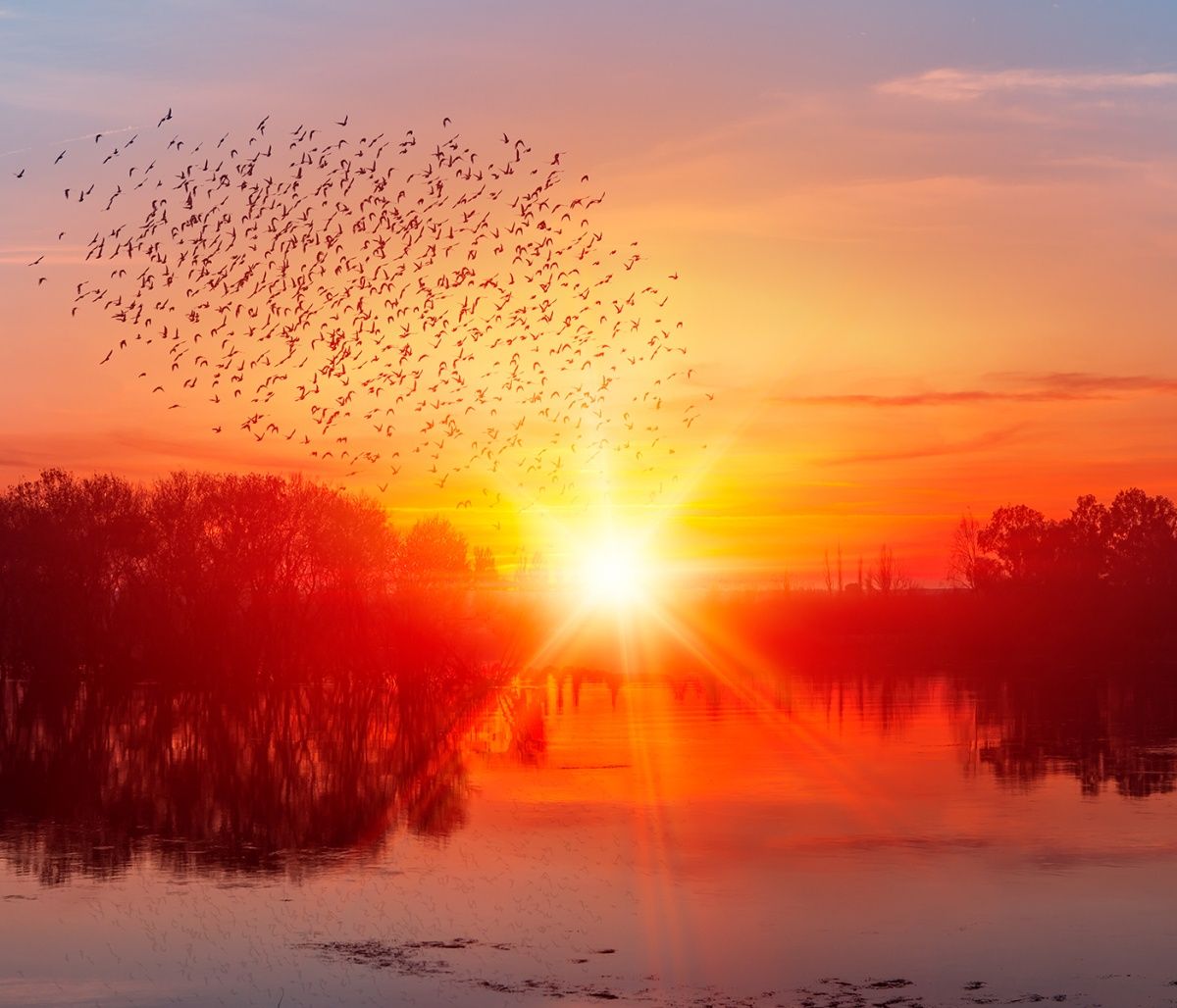 Διάβασε ΔΩΡΕΑΝ την προσωπική σου πρόβλεψη, για σήμερα 14/09/2023
