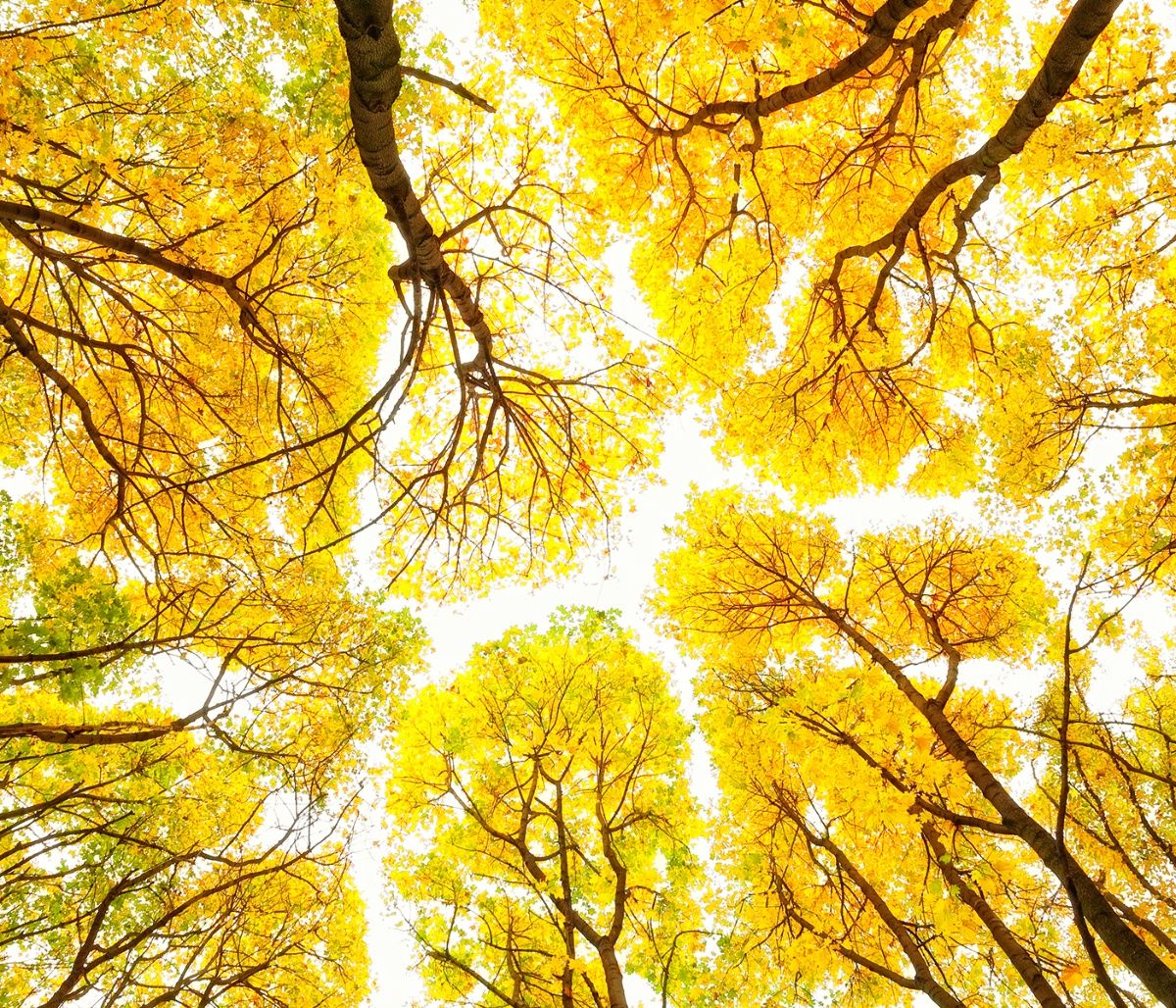 Διάβασε ΔΩΡΕΑΝ την προσωπική σου πρόβλεψη, για σήμερα 15/09/2023