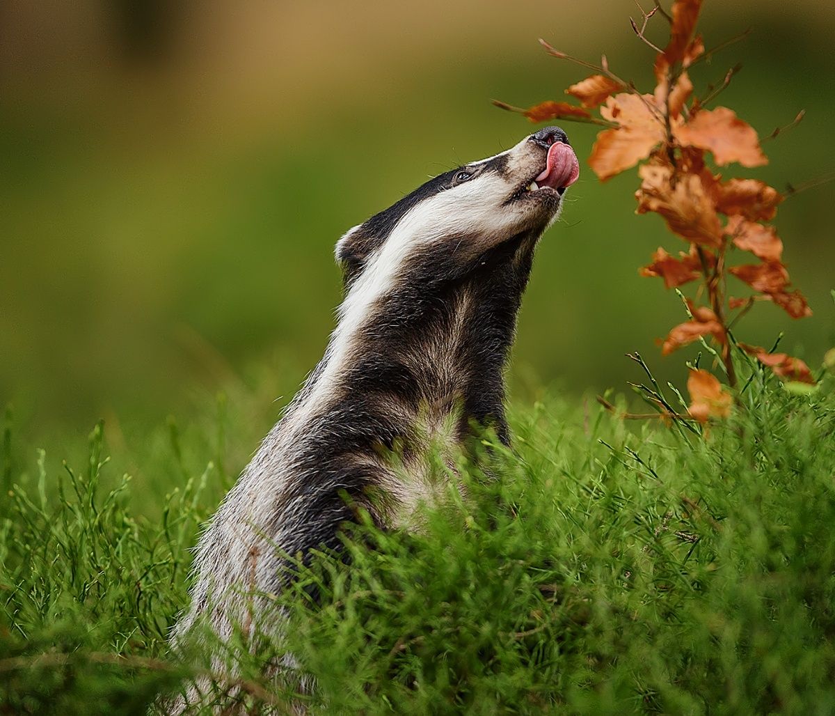 Διάβασε ΔΩΡΕΑΝ την προσωπική σου πρόβλεψη, για σήμερα 16/09/2023