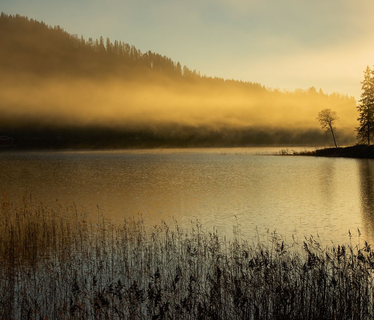 Διάβασε ΔΩΡΕΑΝ την προσωπική σου πρόβλεψη, για σήμερα 17/09/2023
