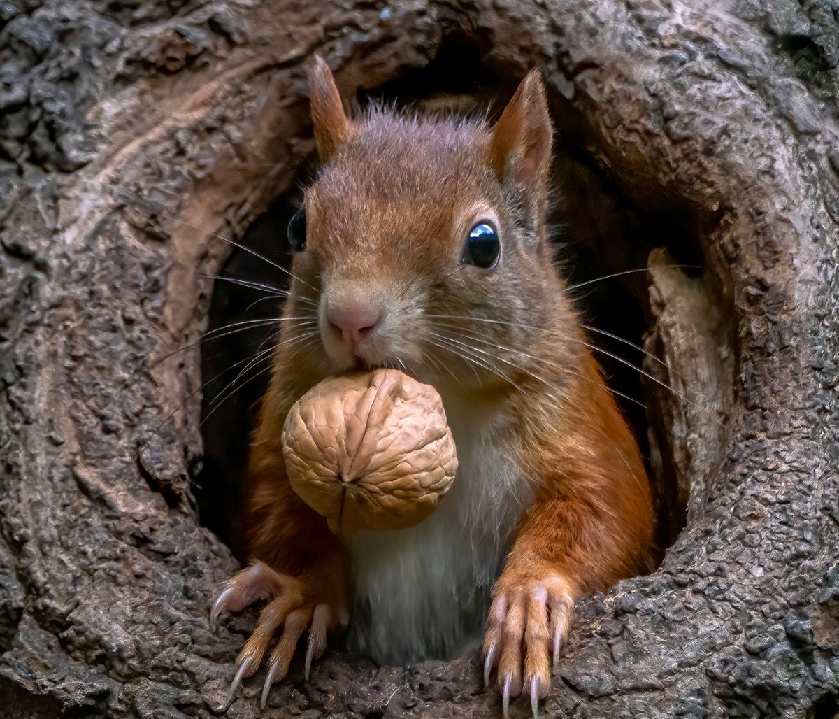 Διάβασε ΔΩΡΕΑΝ την προσωπική σου πρόβλεψη, για σήμερα 18/09/2023