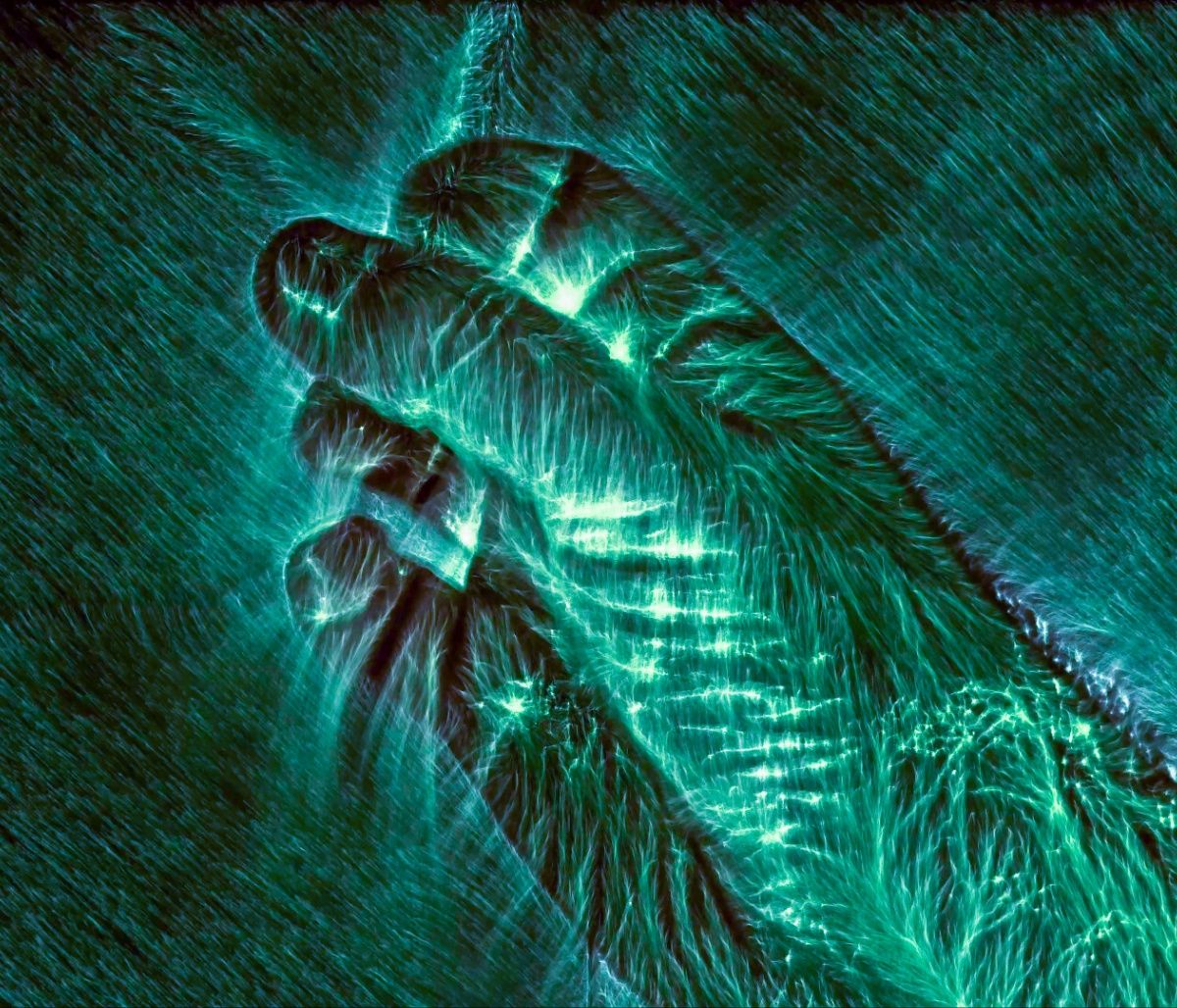 Αύρα: Τι είναι και πώς μπορούμε να την αισθανθούμε;