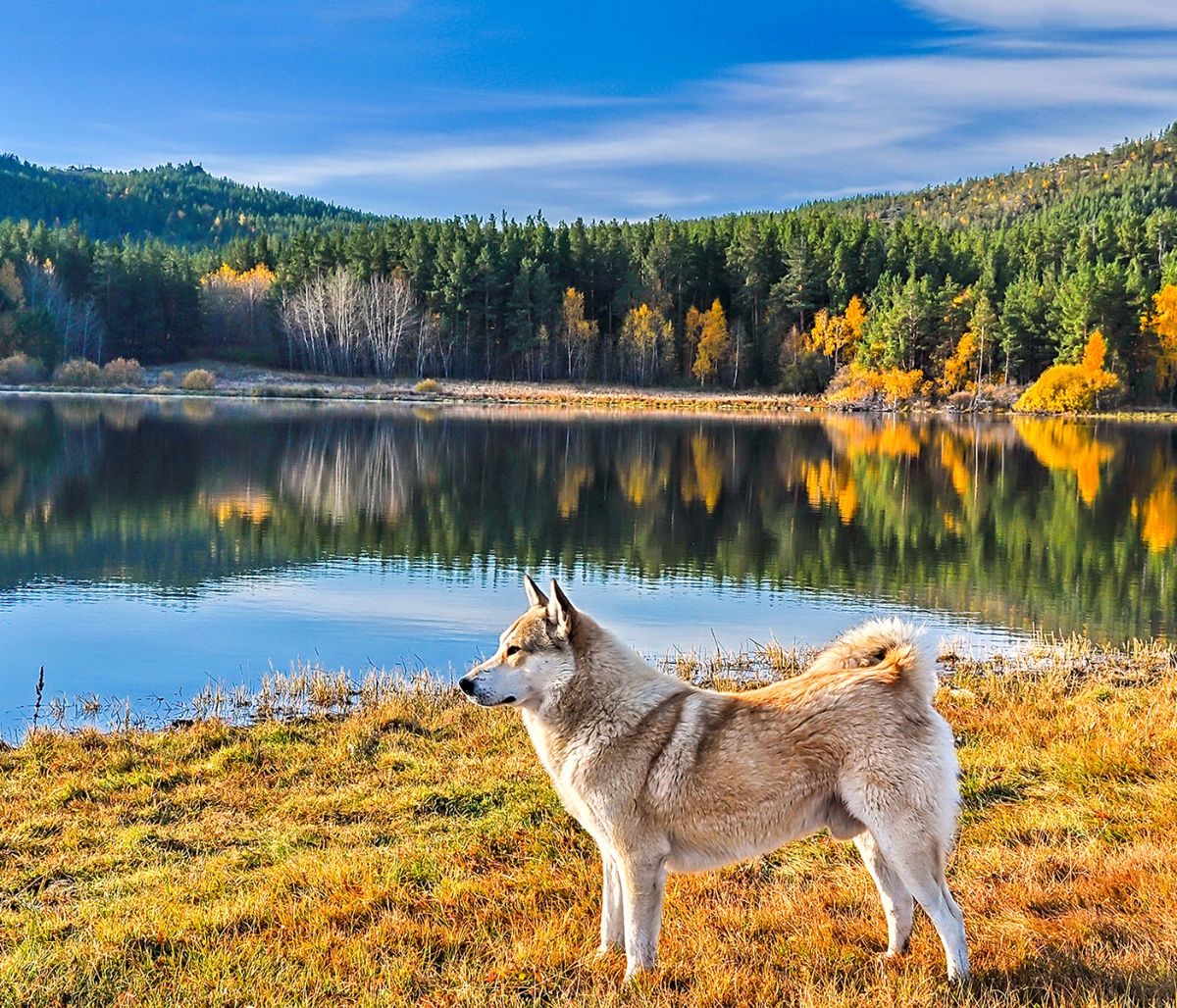 Διάβασε ΔΩΡΕΑΝ την προσωπική σου πρόβλεψη, για σήμερα 27/09/2023
