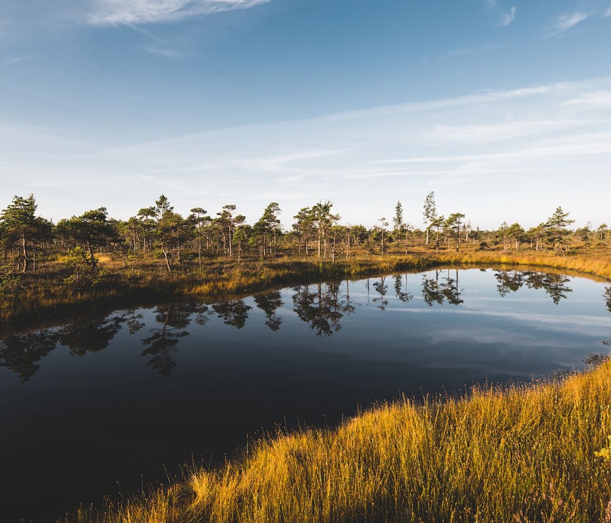 Διάβασε ΔΩΡΕΑΝ την προσωπική σου πρόβλεψη, για σήμερα 30/09/2023