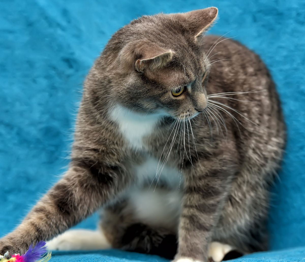 Τα ζώδια που θα έχουν έντονη συναισθηματική αστάθεια σήμερα, 02/10